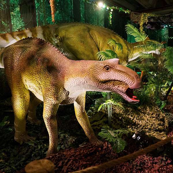 Expo Dino World 2025 | Brussels Expo