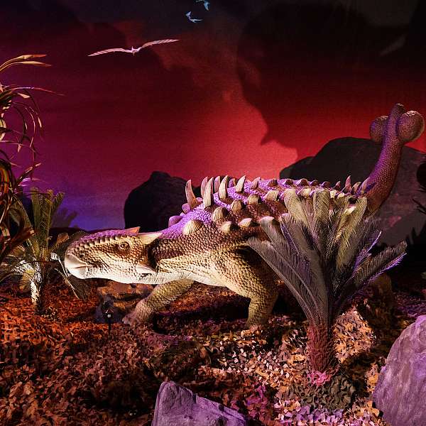 Expo Dino World 2025 | Brussels Expo