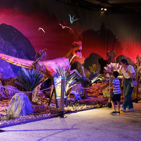 Expo Dino World 2025 | Brussels Expo