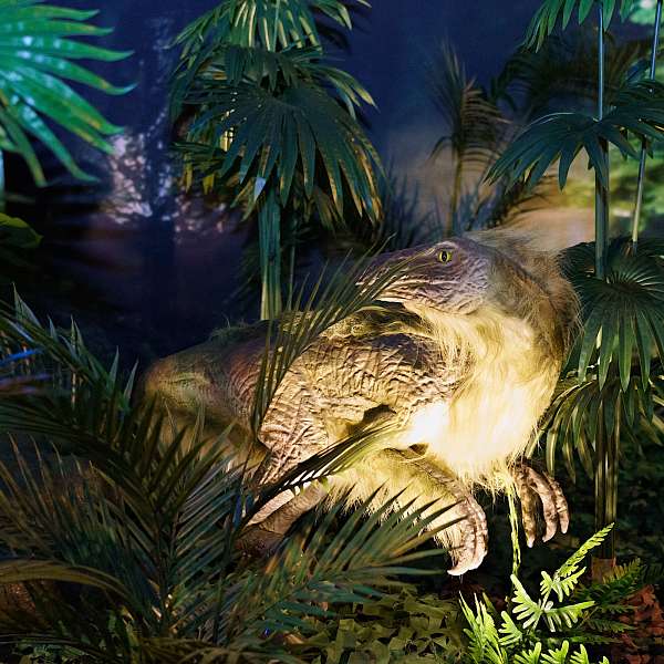 Expo Dino World 2025 | Brussels Expo