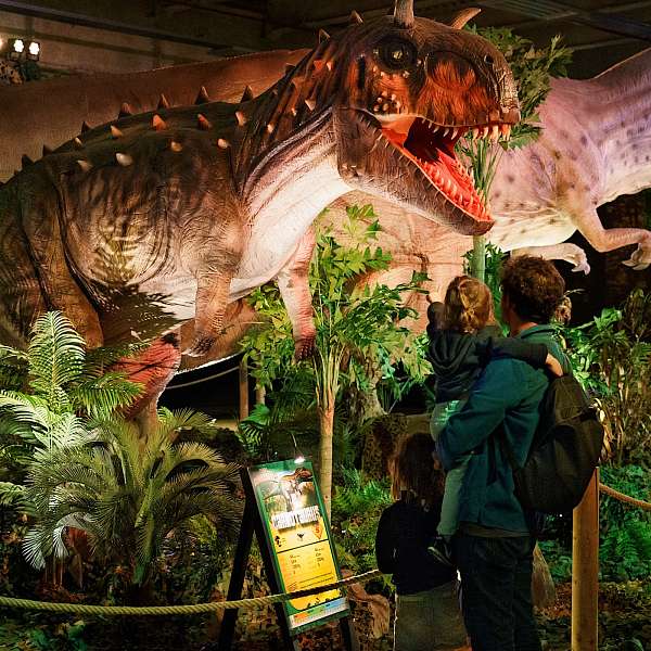 Expo Dino World 2025 | Brussels Expo