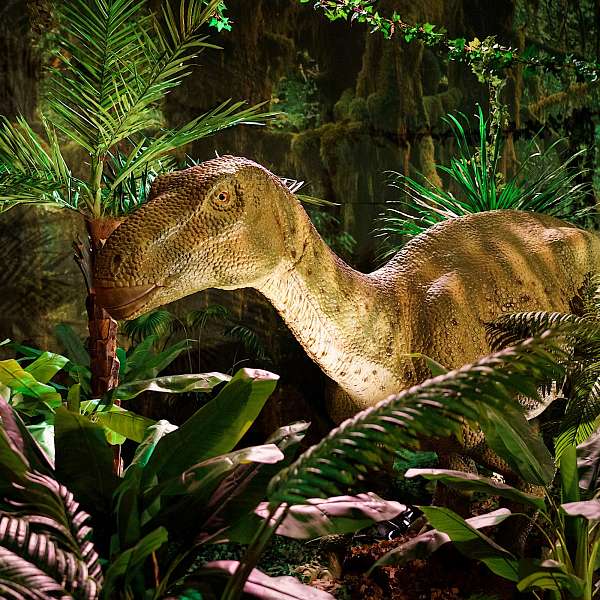 Expo Dino World 2025 | Brussels Expo