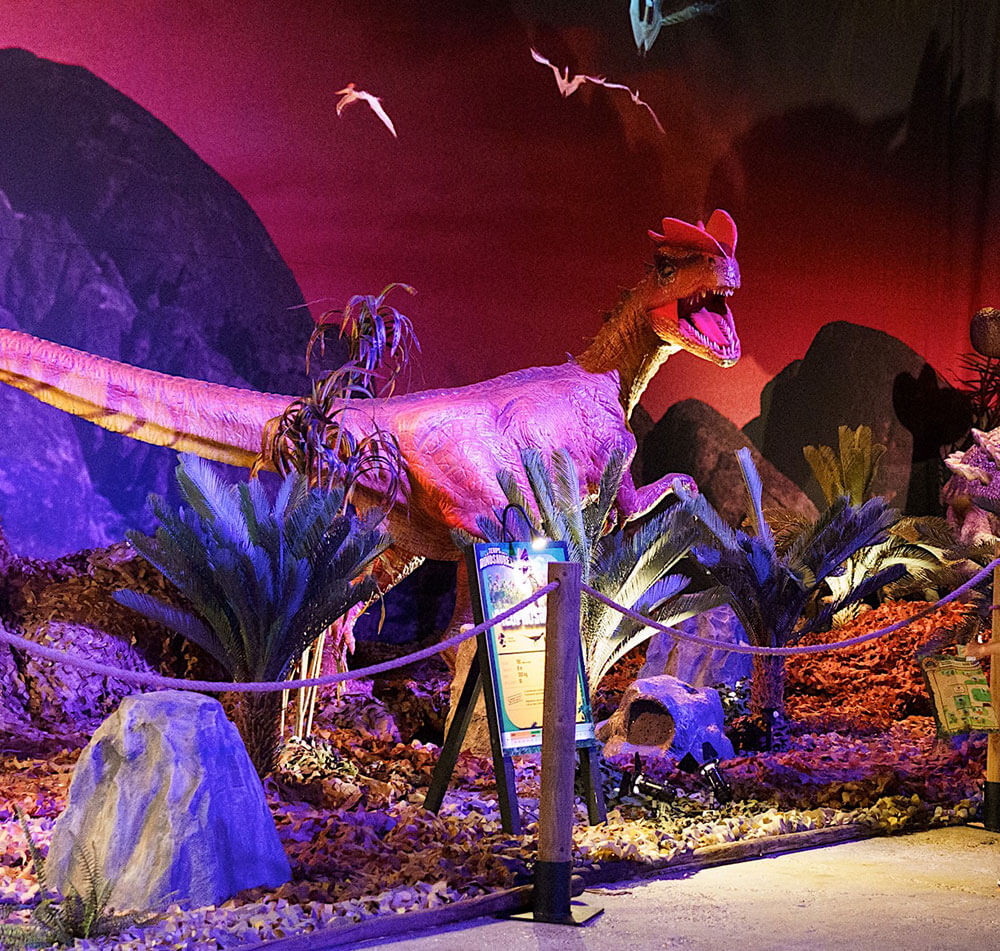 Expo Dino World 2025 | Brussels Expo | From 7 June